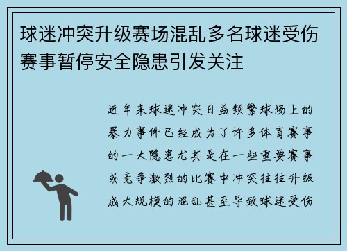 球迷冲突升级赛场混乱多名球迷受伤赛事暂停安全隐患引发关注