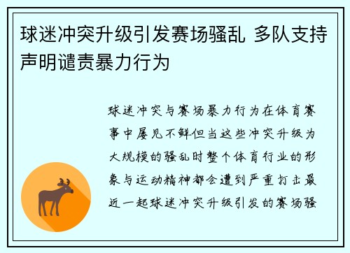 球迷冲突升级引发赛场骚乱 多队支持声明谴责暴力行为